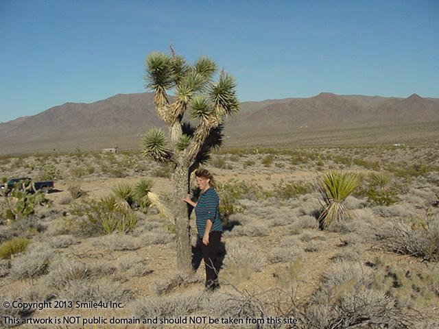 Char the Explorer showing the size of a Joshua Tree on this Lot for sale in the Lake Mead Ranchos in Mohave County, Arizona